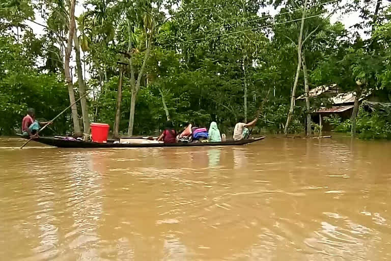 assam flood  condition