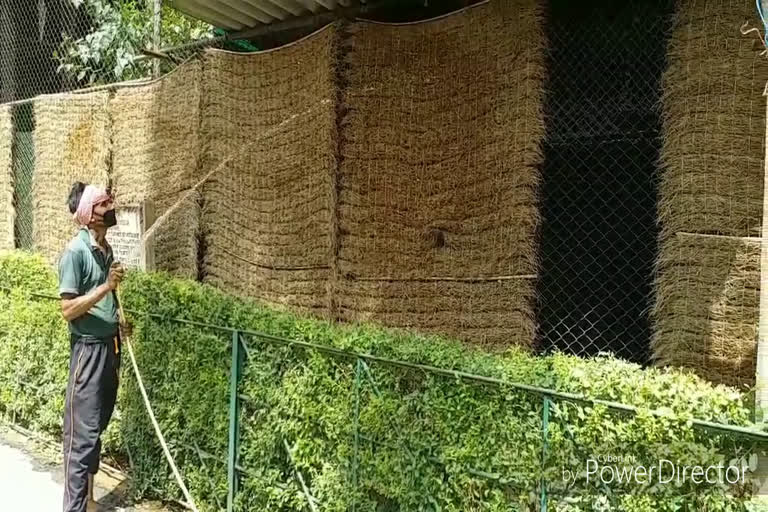 Cooler for animals in Gandhi Zoological Park