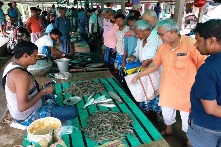 hilsa fish is out of market on jamaisoshthi