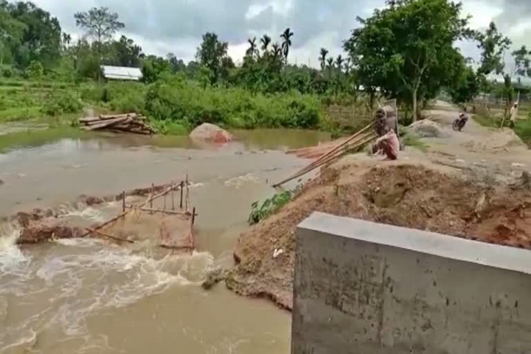 গোলাঘাটত বানৰ প্ৰকোপত পথ বিচ্ছিন্ন