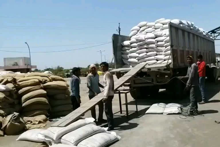 Wheat is being transported