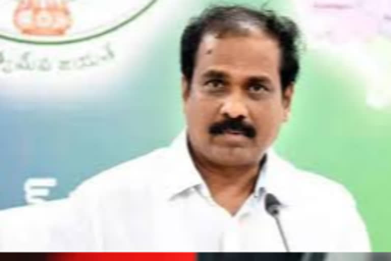 minister kannababu on locust attack