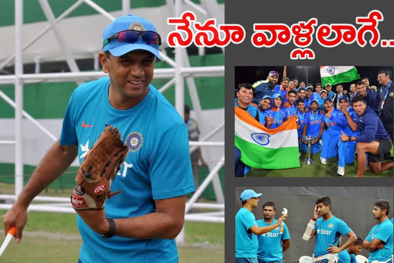 Rahul Dravid news