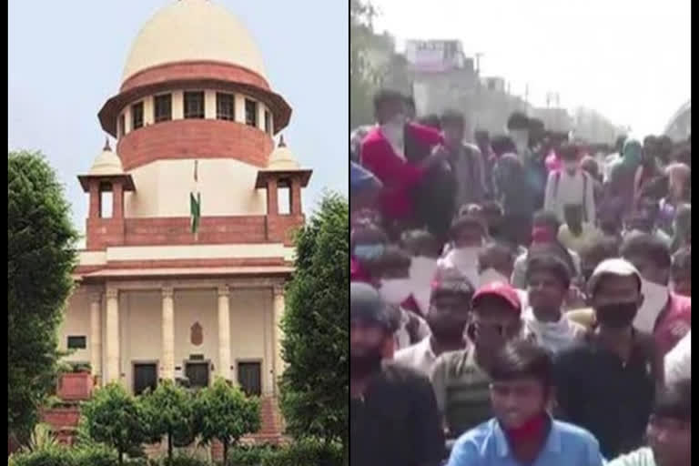 SC instructs free travel for migrants