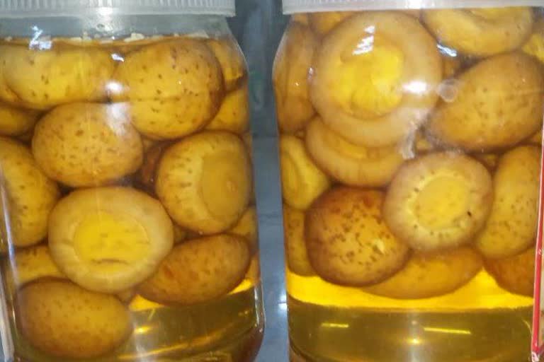 Advice of Khum Research Directorate Pickles and Biscuits with Mushroom Growers