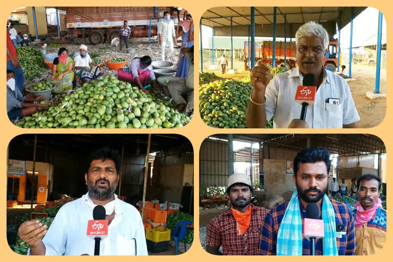 గిట్టుబాటు ధర లేక నష్టపోతున్న మామిడి రైతులు