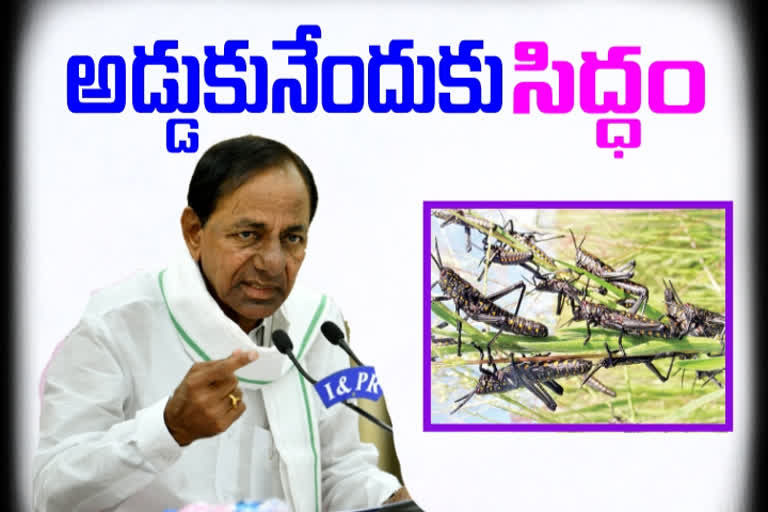 cm-kcr-said-special-committee-to-prevent-locust-in-telangana
