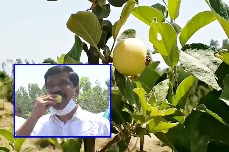 minister prashanth reddy visit apple garden in vencherial