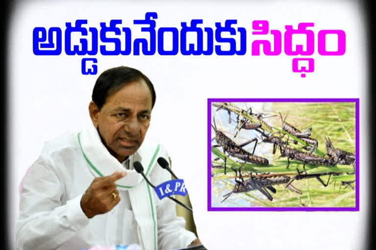 రాష్ట్రంలోకి మిడతలు రాకుండా ప్రత్యేక కమిటీ: సీఎం కేసీఆర్​