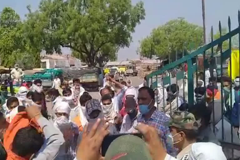 Farmers present in the market