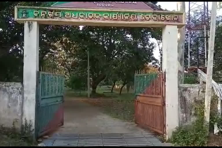 ରେଢ଼ାଖୋଲ ନକଟିଦେଉଲ ଅଞ୍ଚଳରେ ହାତୀ ଆକ୍ରମଣ