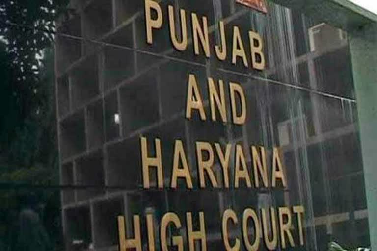 punjab haryana high court dismisses Kurushetra panchayat petition of banned crop harvesting