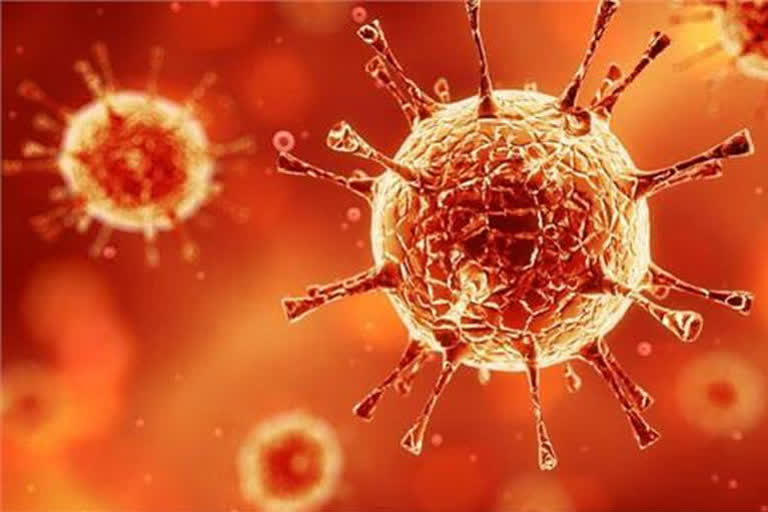 Coronavirus: Rajasthan reports two deaths, 91 new cases