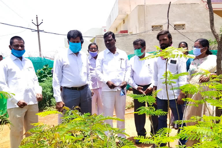 additional-collector-keemya-nayak-inspected-the-nurseries-set-up-in-turkkapalli-zone