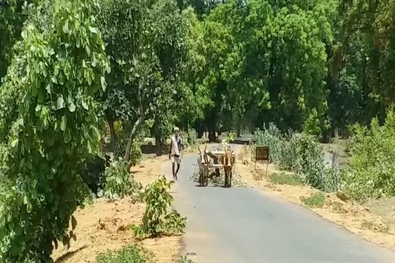 farmers working in highj temperature