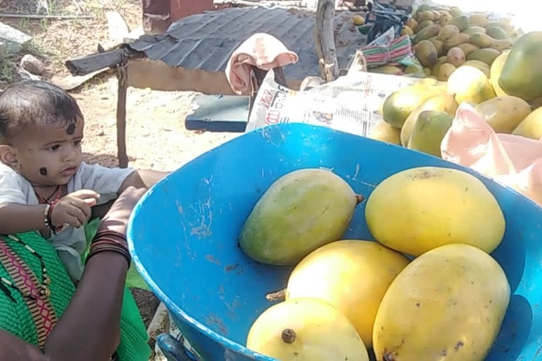 mango sellers facing many problems