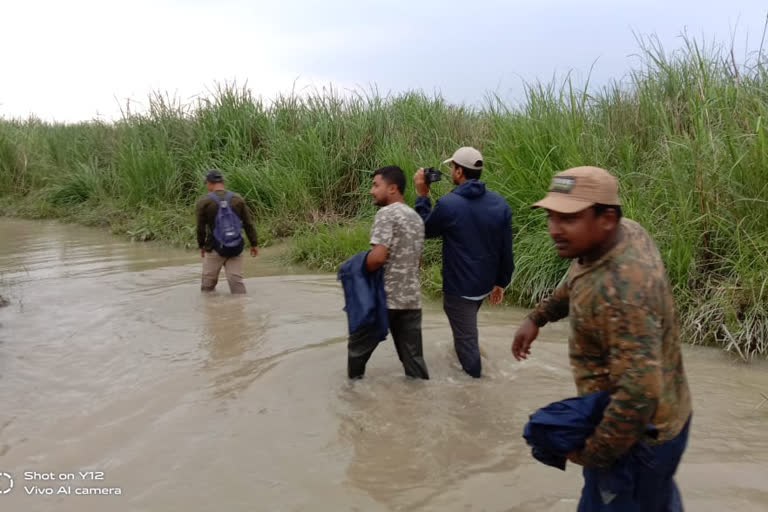 flood impacts on Orang national park