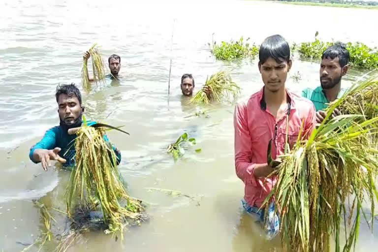 ETV BHARAT