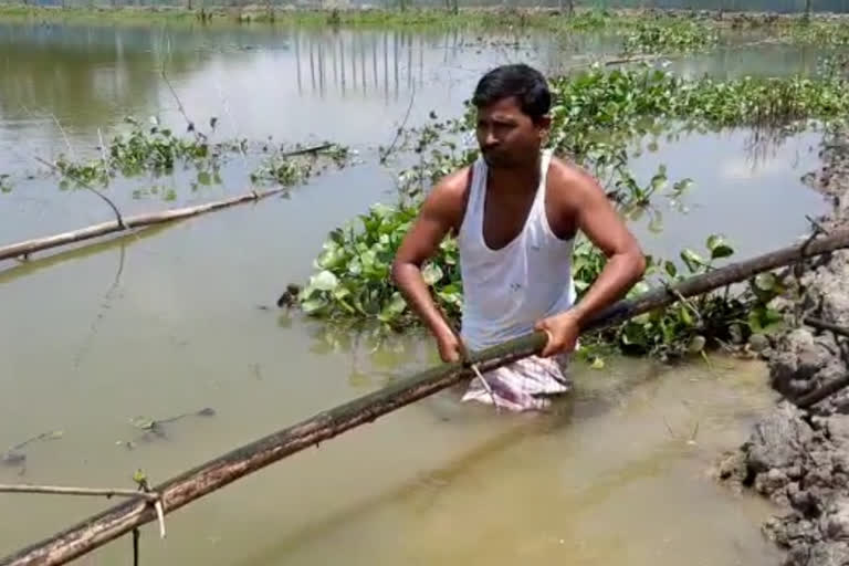 ৰঙিয়া