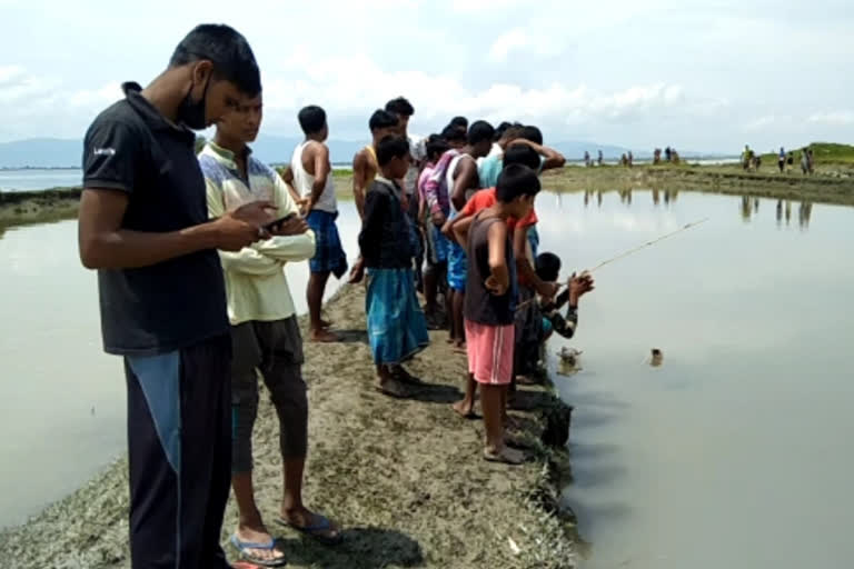 বিশ্বনাথ