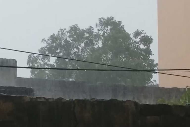 heavy rain with hailstorm in rewari
