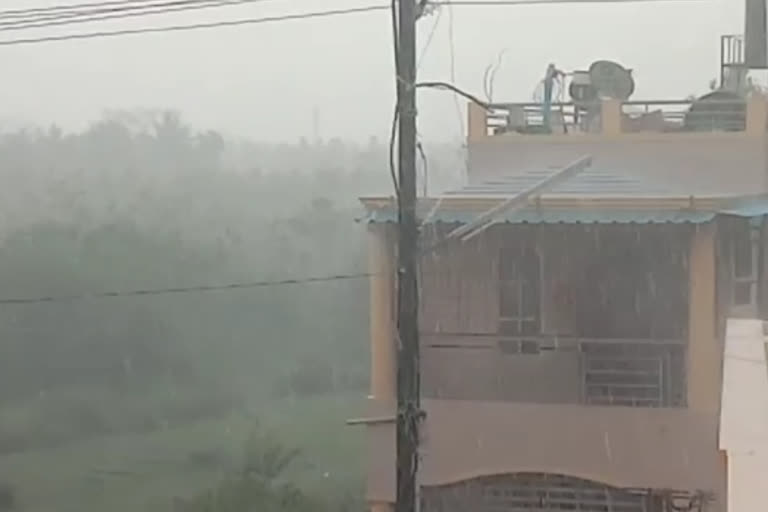 heavy rain in chikkamagaluru