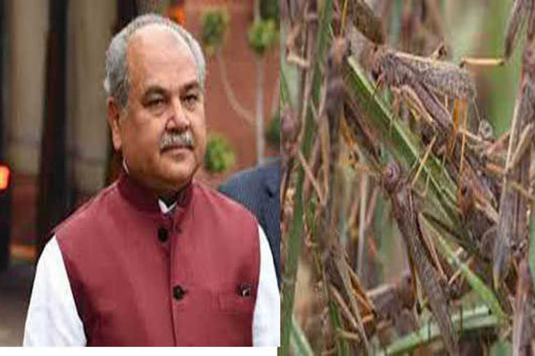 Minister of Agriculture Narendra Singh Tomar