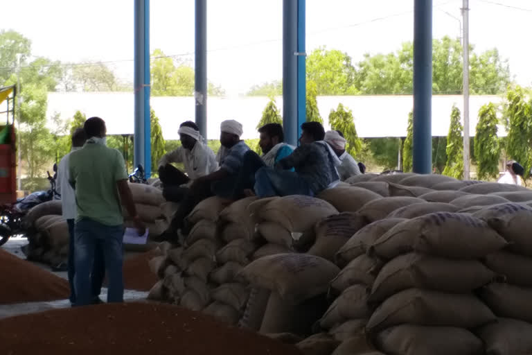 lack of facility at wheat procurement centre of burhanpur