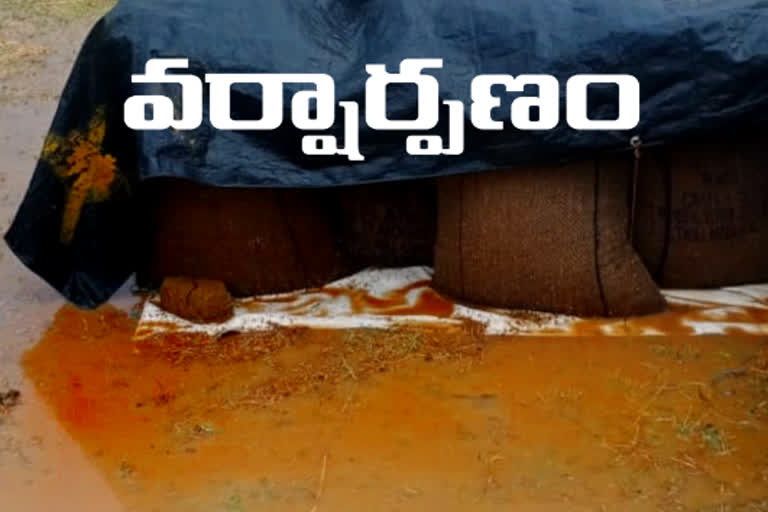 heavy rain in jayashanker bhupalapally district