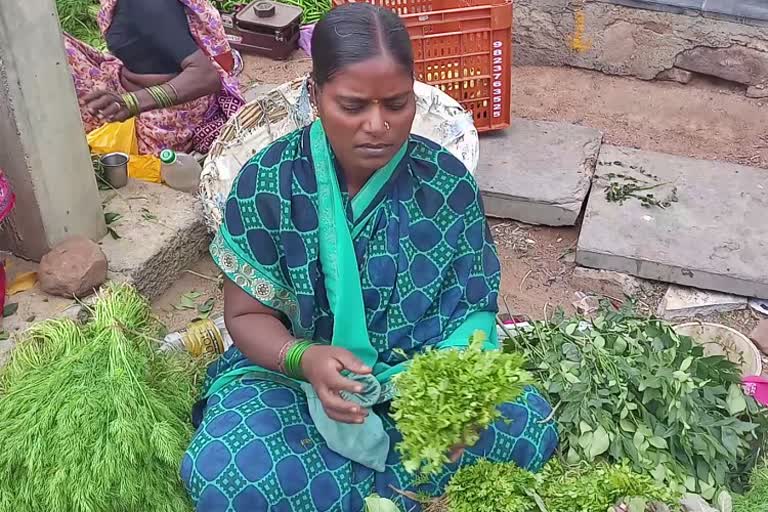 Coriander rate increased in Muddebihala