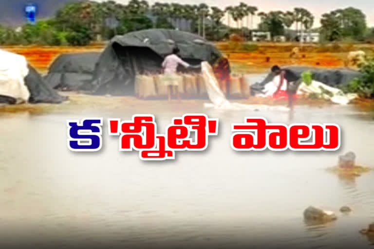 huge-loss-for-heavy-rain-in-waragal