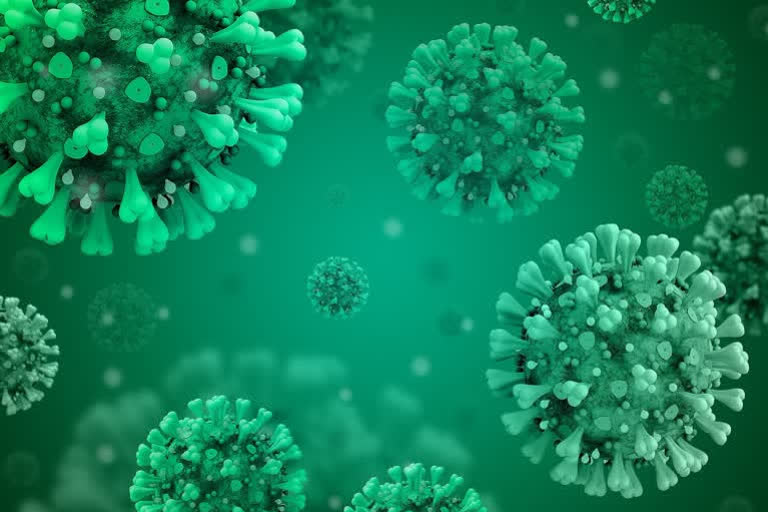 Two employees of MEA test positive for coronavirus  MEA employees  coronavirus  ഉദ്യോഗസ്ഥര്‍ക്ക് കൊവിഡ്  കേന്ദ്ര വിദേശകാര്യ മന്ത്രാലയം  കൊവിഡ്  വിദേശകാര്യ മന്ത്രാലയം  COVID-19