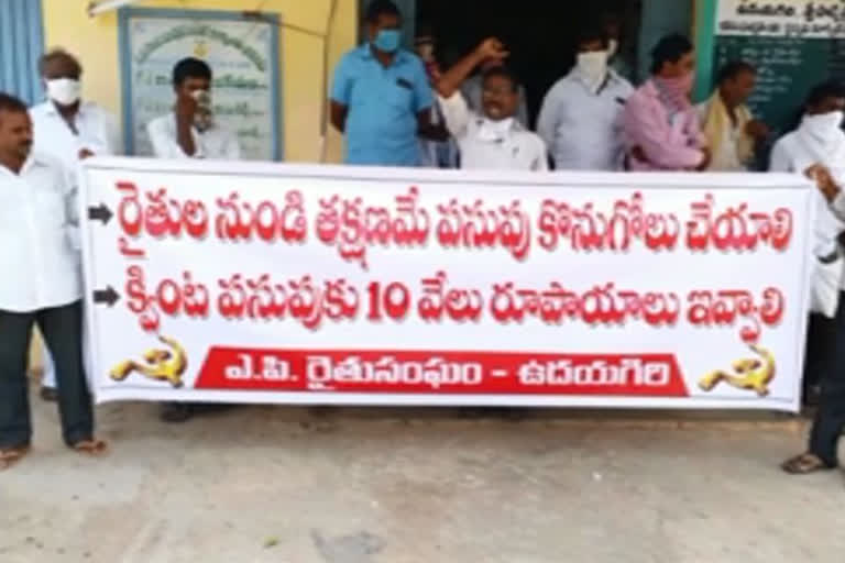 yellow crop farmers dharna in udayagiri nellore district