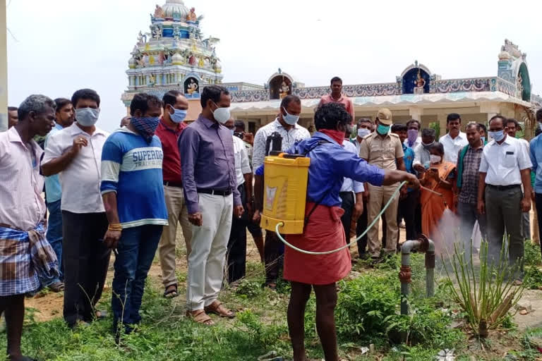 வெட்டுக்கிளிகள் படையெடுப்பு: விவசாயிகள் அச்சப்படத் தேவையில்லை