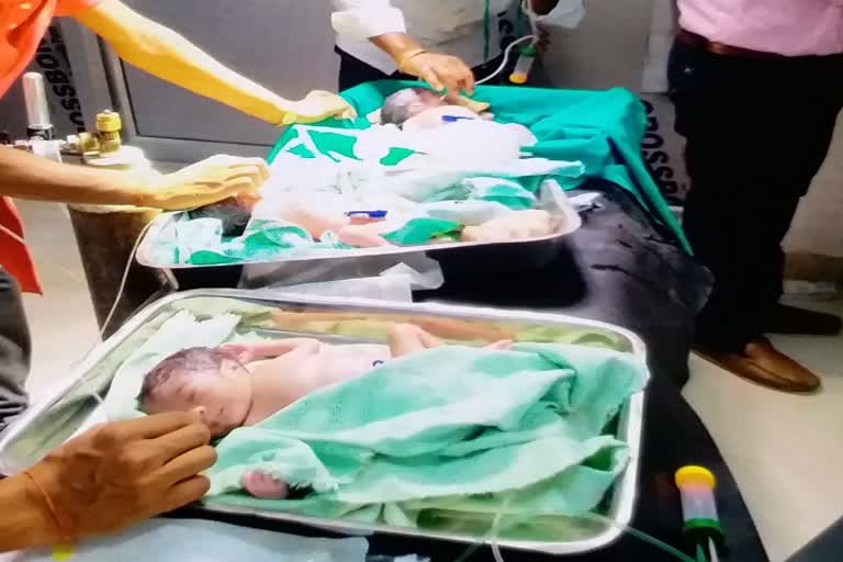 पलामू में एक महिला ने तीन बच्चों को दिया जन्म