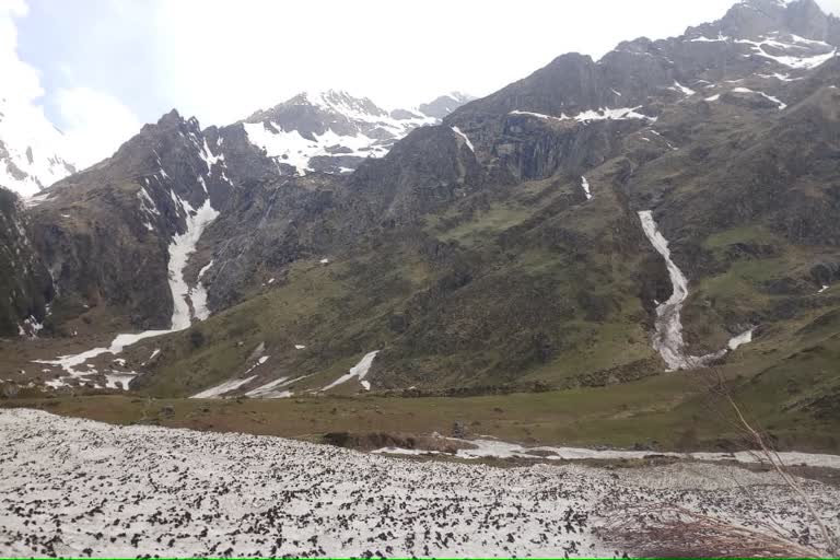 valley of flower