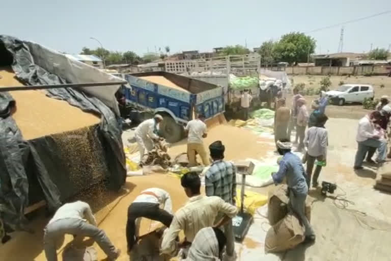 MLA reached the procurement center after farmers' complaint