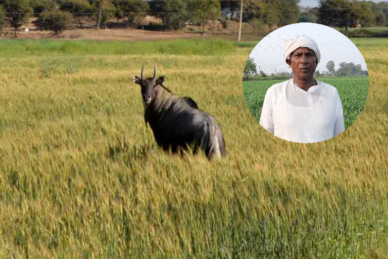 farmers facing problem