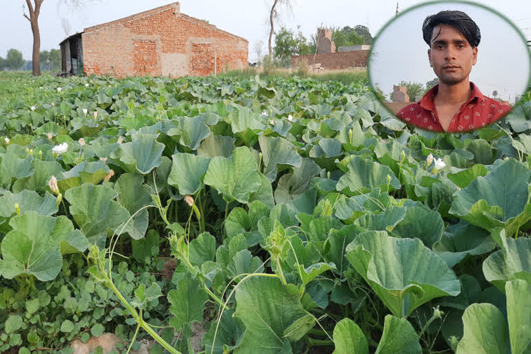 Effect of lockdown on vegetable farmers