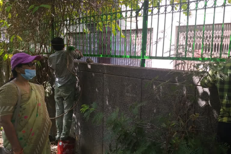 mcd parks getting clean at dilshad colony