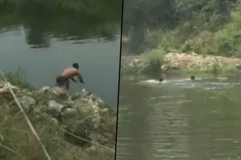 person drowning in faridabad agra canal viral video
