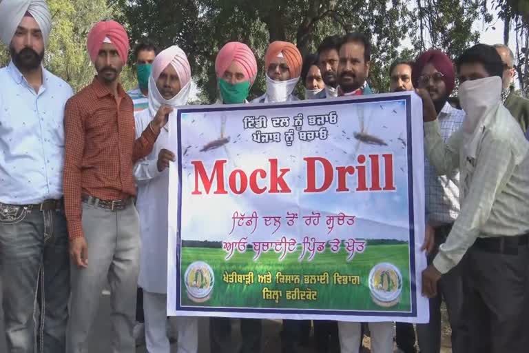 mock drill to combat tiddi dal