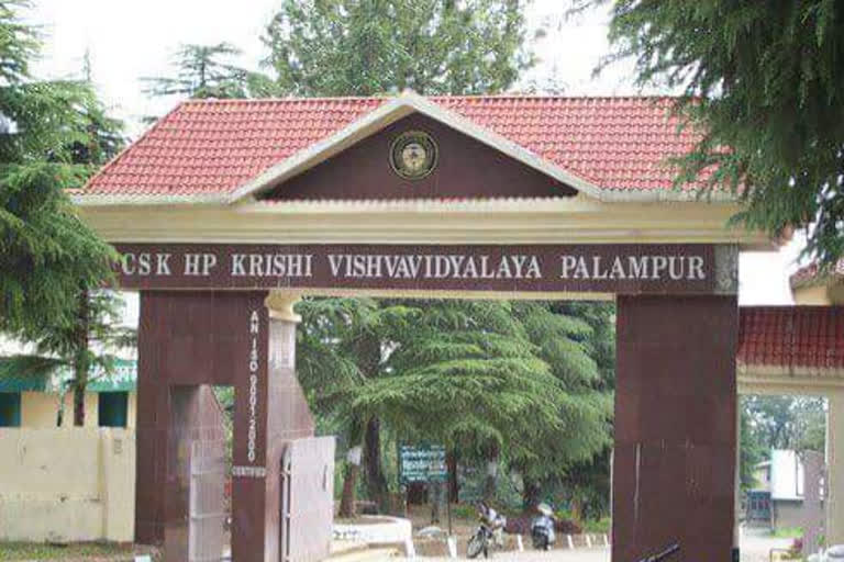 Palampur agriculture University