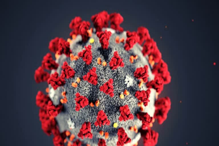 coronavirus