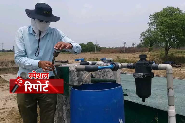 Drip irrigation technique