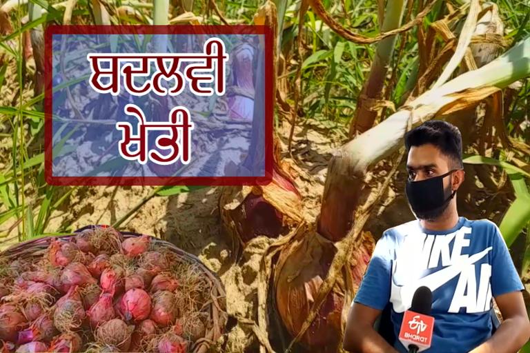 Farmer Gurwinder Singh is making huge profit from onion cultivation