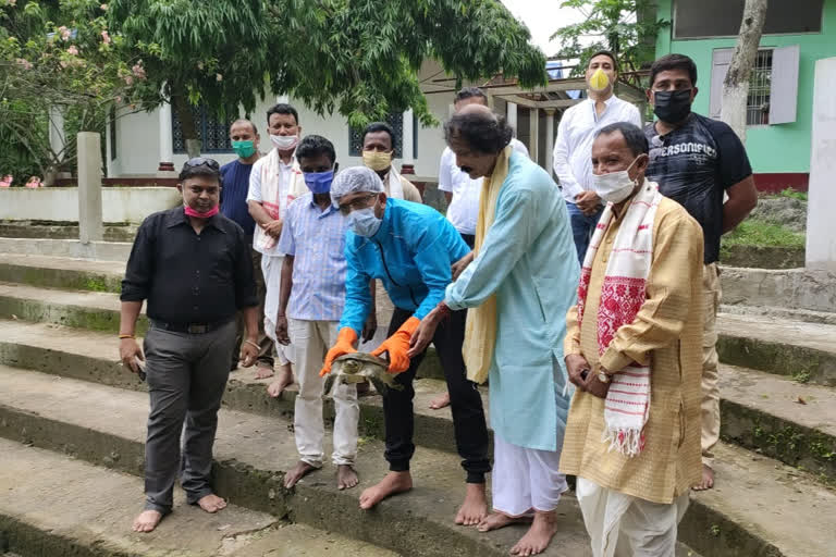 a rare tortoise donated to batadrava thaan by a person from lakhimpur