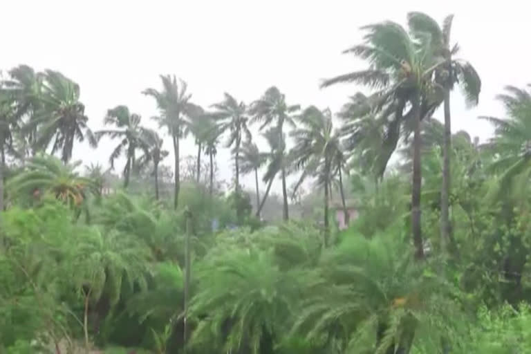 അറബികടലിൽ ന്യൂനമർദം ചുഴലിക്കാറ്റായി മാറിയേക്കാമെന്ന് സൂചന നിസർഗ കാലാവസ്ഥാ നിരീക്ഷണ കേന്ദ്രം depression arabian sea cyclone cyclone