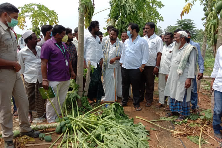 kurnool district