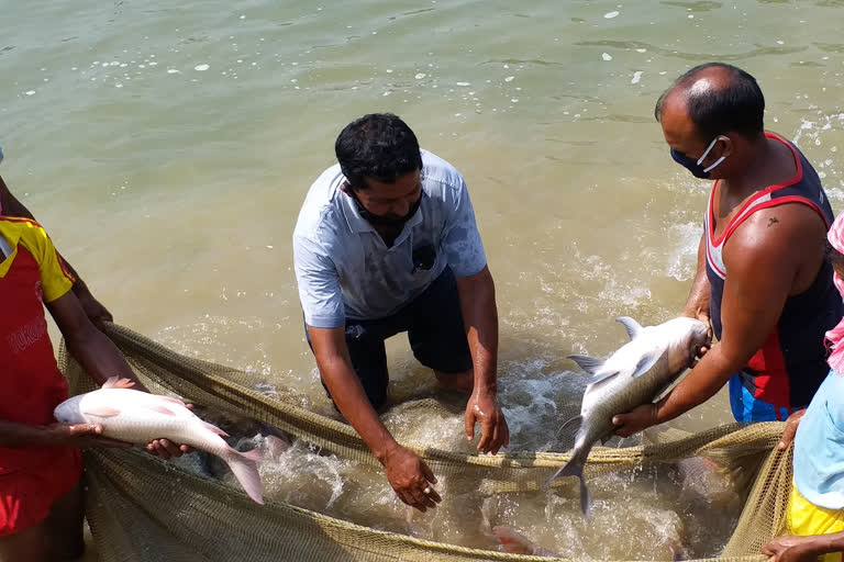 Bankura fish traders face losses in lockdown